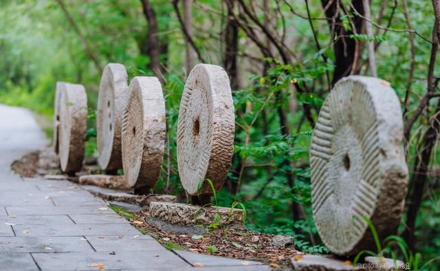  带走多少|无限量捞鱼还能免费全带走！这个暑假太行山自驾游，带娃去虎山