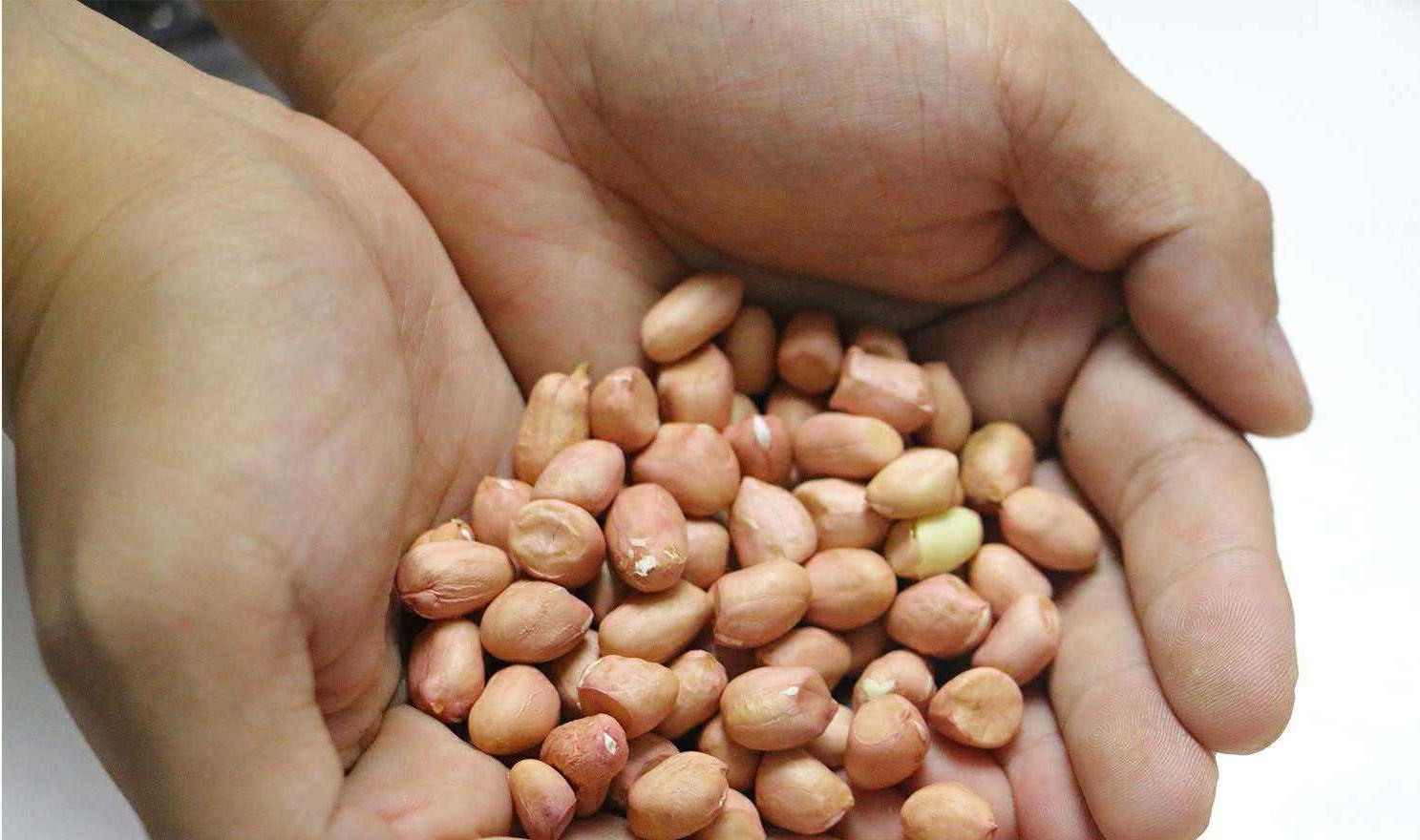 过程中|炸花生米,有人用水泡或是直接炸?全不对!教你正确做法,太香了