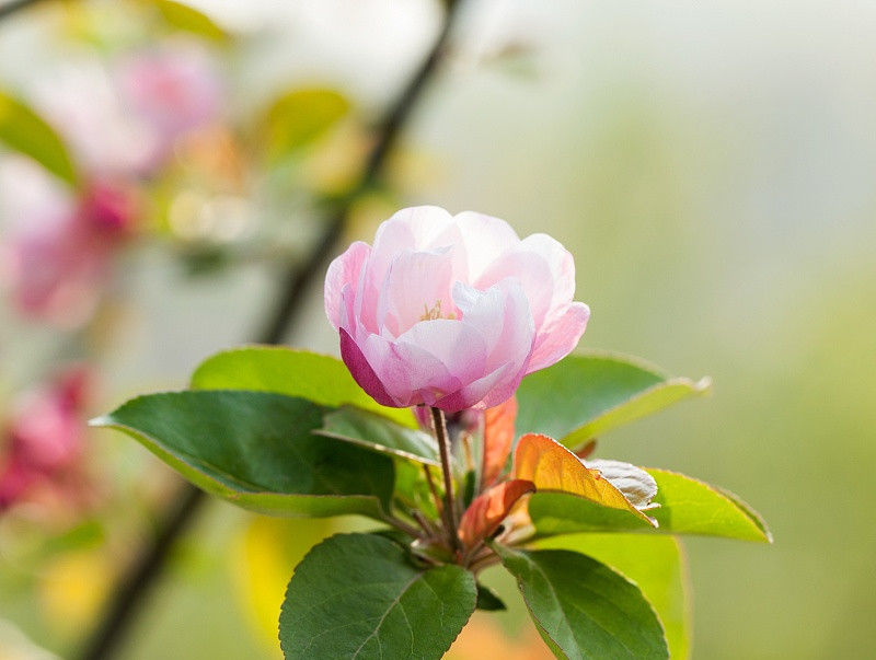 贵人|属鼠人: 明天7月16号的贵人名单已列出, 终于熬到头, 请珍惜!