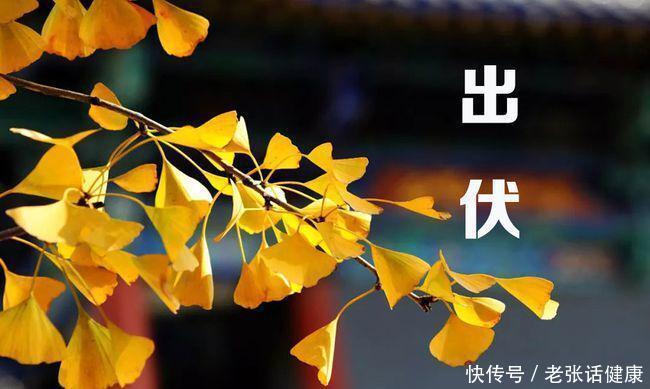 8月20日“出伏日”，记得吃2肉，食2菜，喝2汤，补身体，健康过秋2023