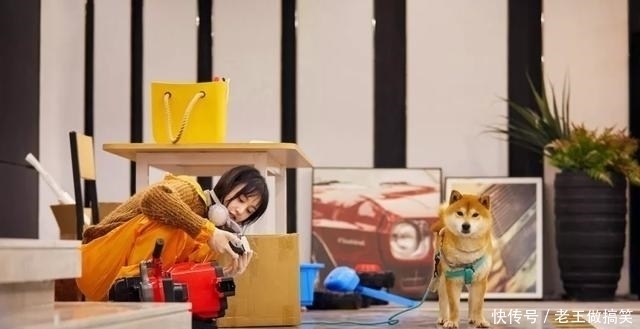 狗狗|郑爽要给宠物磨平牙齿,男嘉宾表情绷不住,网友直接吐槽虐狗