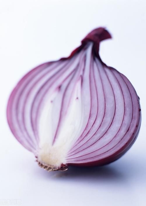  长出|如何种植发芽的洋葱