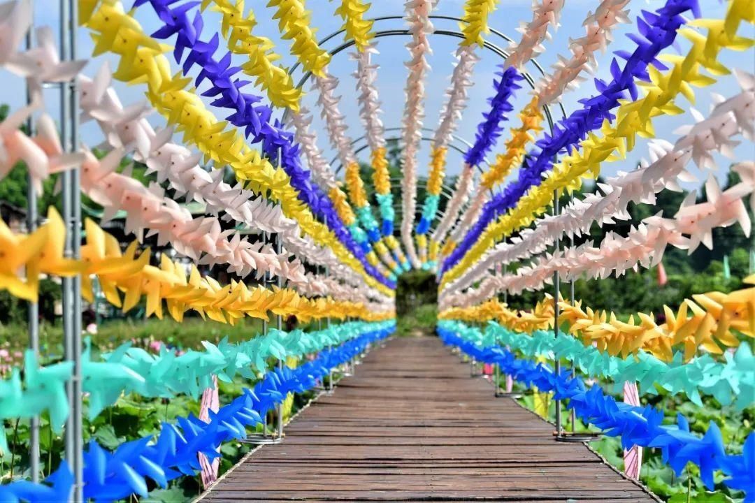  飞凤镇桥亭|村里有个桃花源！一起去吗~