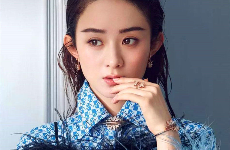 店长|黄晓明离开《中餐厅》,赵丽颖接替店长一职,迎来新成员备受争议