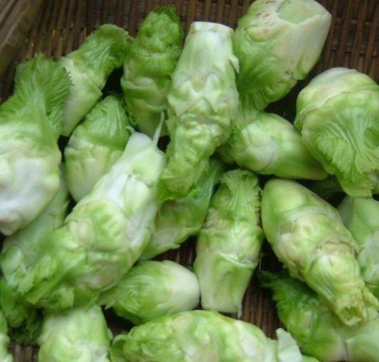 儿菜|女性不想长皱纹,坚持吃的食物,排毒素清,刮油甩脂,肌肤能水嫩