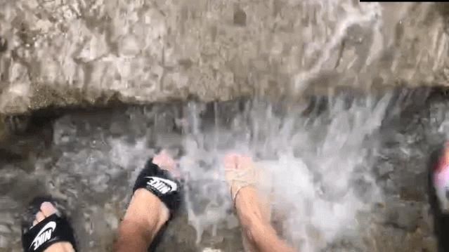  去一趟|避暑王者峨眉山，是时候去一趟了！