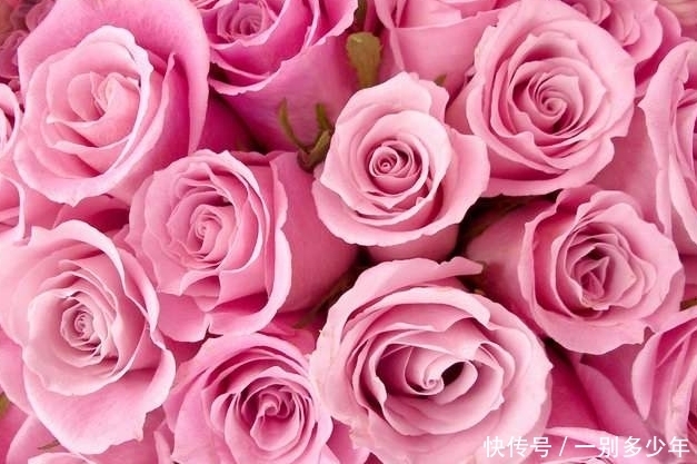 女人|算命的说:这3大生肖女人自尊心强,得到事业成为女强人!