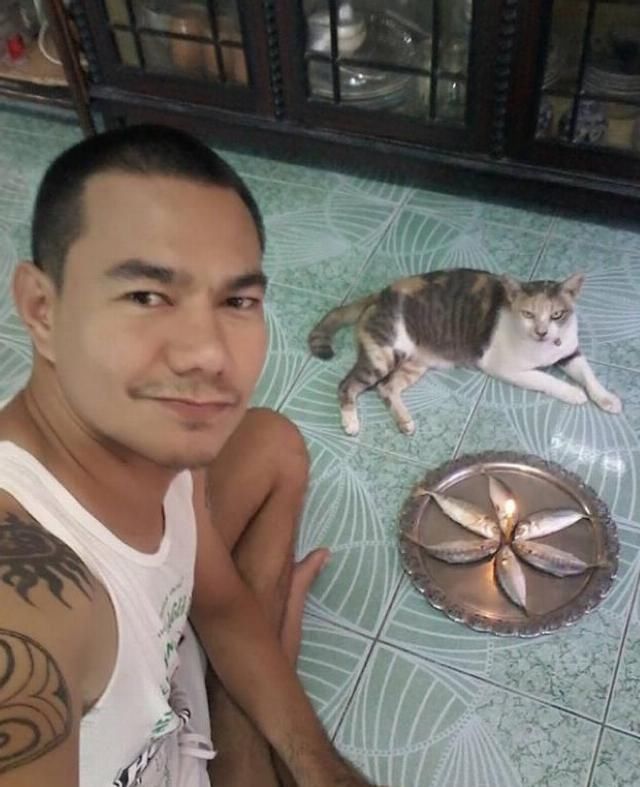 猫咪|猫咪过生日，主人精心给它准备礼物，看到猫咪反应主人心碎了