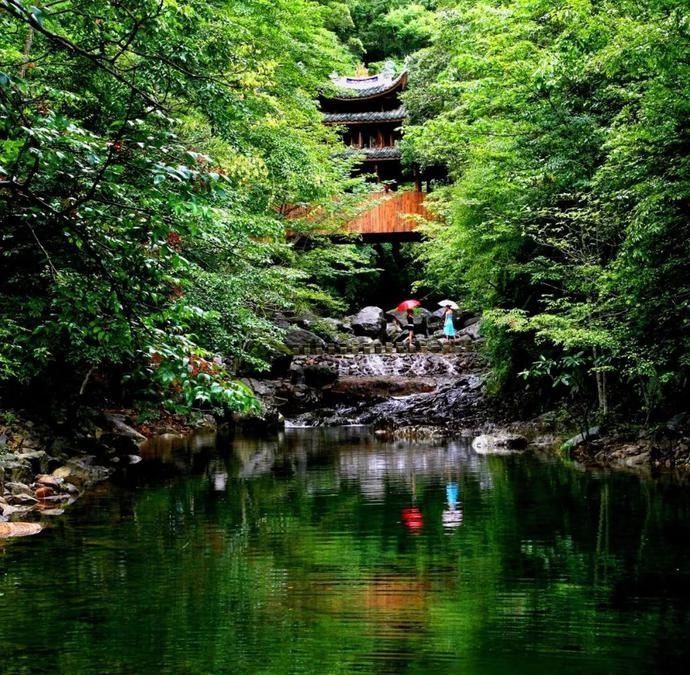  席卷|高温席卷的初夏，不如去这些堪比童话仙境的小众森林里乘个凉