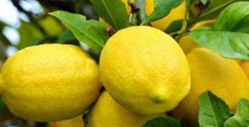  养颜|女性可以常吃4种食物，排毒养颜，缓解痛经，预防子宫早衰