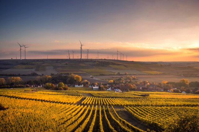  下一代|下一代电池技术哪家强？