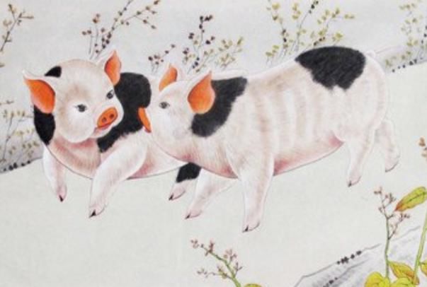 贵人|猪猪猪猪：10月多“留意”这个人，是你未来3个月的大贵人！