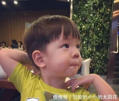  争议|节目录制结束一年，嗯哼依旧没上幼儿园，霍思燕的思想引家长争议