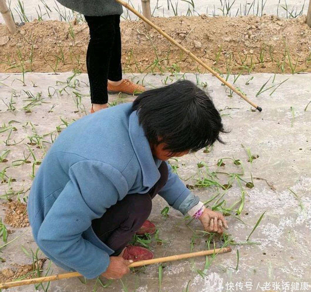 血脂超标这2种素食尽量要忌口(血脂超标的朋友，4种素食尽量忌口，2个方法有助于降血脂，望了解)