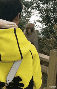 回事|“传说中的采阴补阳,到底是咋回事啊?”哈哈哈哈哈哈有对象就知道了!