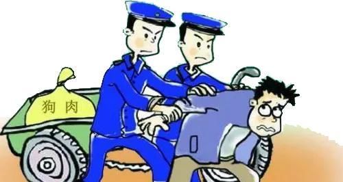  法律|宠物被“拎走”，看看法律怎么说