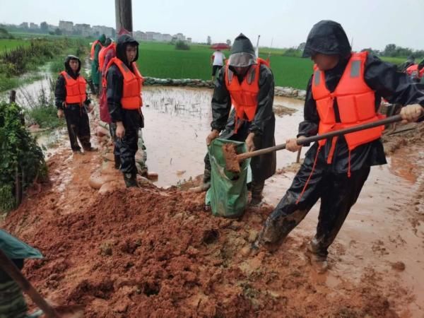 团员青|他们突击在前、乘风破浪的样子，真帅！