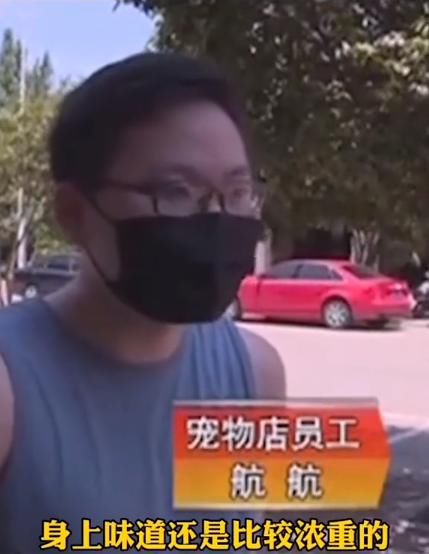  评选|年度沙雕小偷评选，感觉智商受到了侮辱...