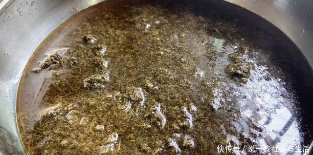 粽子|这东西,味鲜色美,比粽子还好吃,可香了