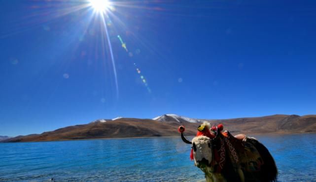  游客|西藏这片湖，鱼群多达8亿斤，却为何无人敢捕？游客：换我也不敢