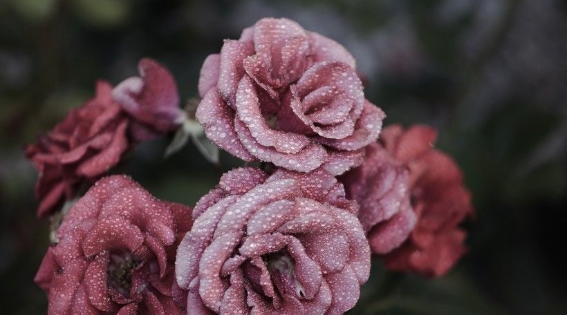 自来|7月下旬,运势逆袭,事业爱情全来,财源广进,鸿运自来四生肖!