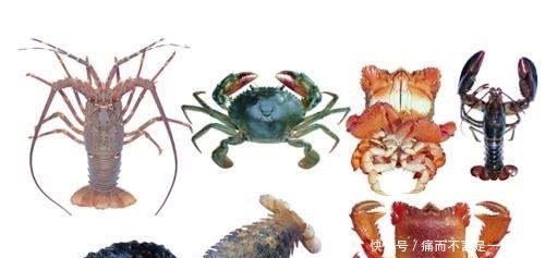 古人|为什么古人把“海鲜”称为“海错”?谈谈中国人吃海鲜的历史