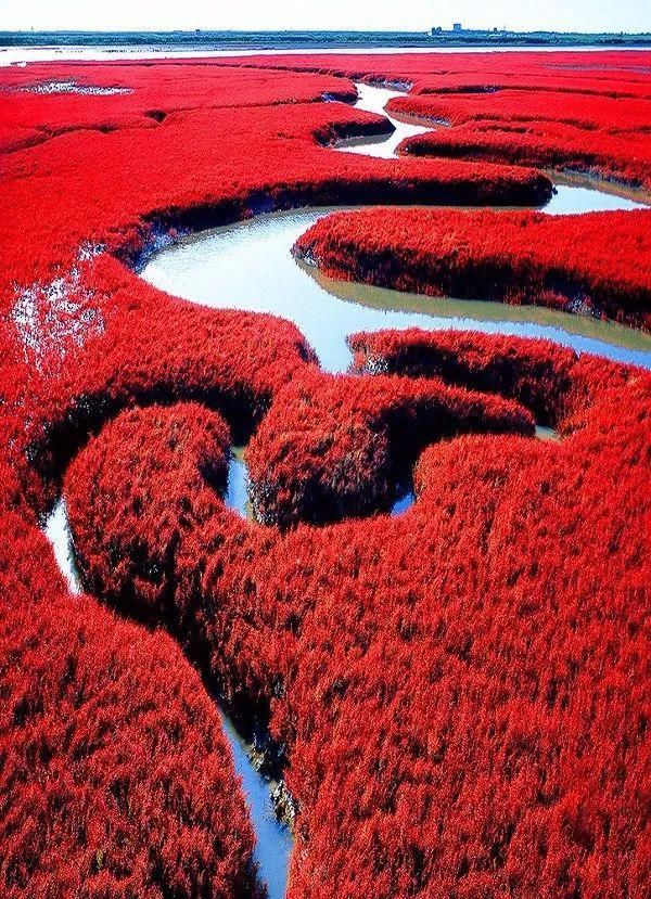 难得一见|奇妙风光，难得一见