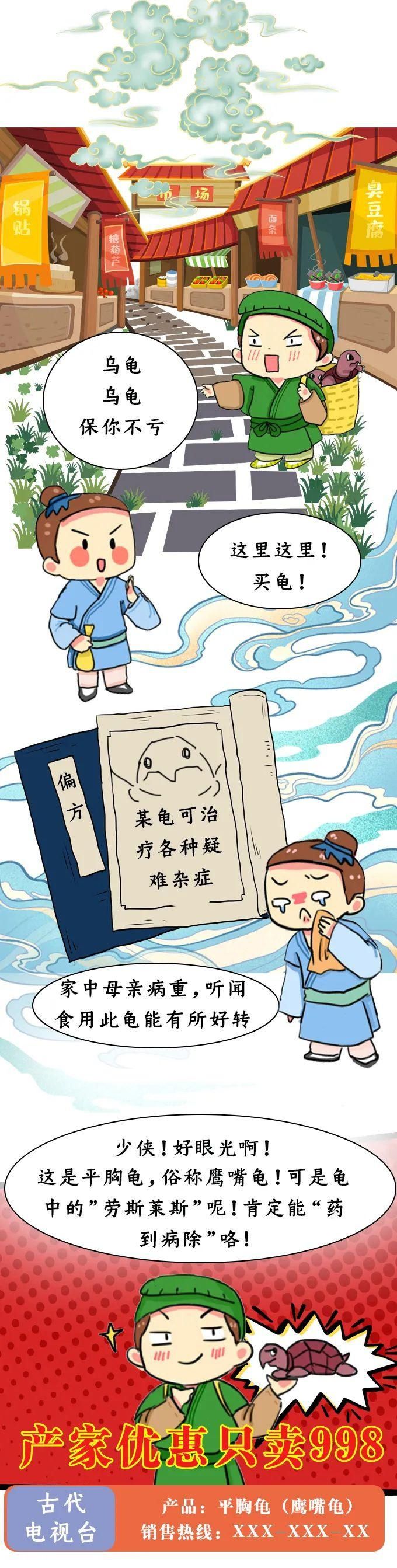 触犯|萌妞普法︱买龟?卖龟?触犯法律,铁定要亏!