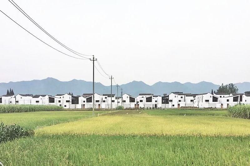  不落俗套|乡建如何不落俗套？15个最佳乡村建筑告诉你