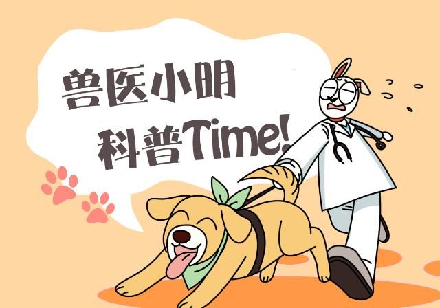 找上门|白鸽缠上大爷,却被邻居找上门,鸽子:我是自己飞来找他的你信吗