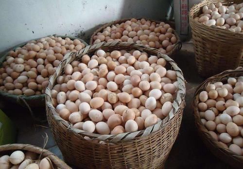 记得|很多人早上吃鸡蛋,都吃错了,有4个误区记得叮嘱家里人