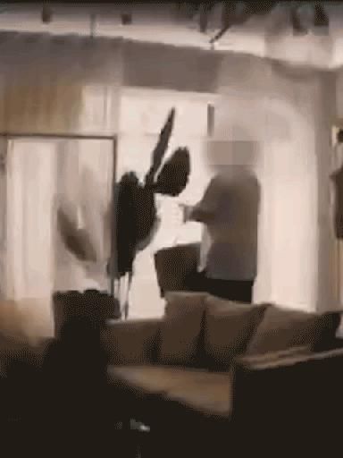 女装|52岁大叔盗窃女装,深夜变身“俏女郎”……