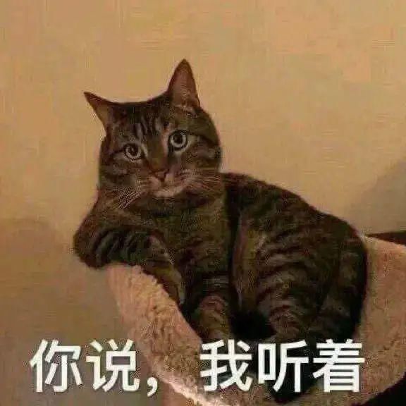 编辑|梦里让你流口水的这碗饭,醒来就该去会会它!