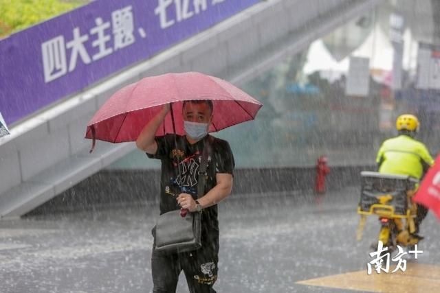 深圳市|图集丨深圳暴雨雷电双预警，开启“疯狂倒水”模式