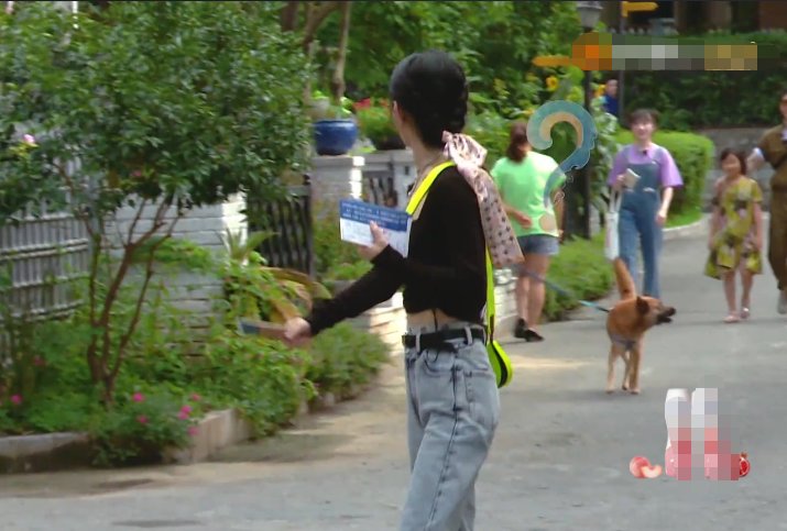  赵丽颖|赵丽颖被路人大狗吓跑，主人赶来道歉后，她下意识的回应显露素养