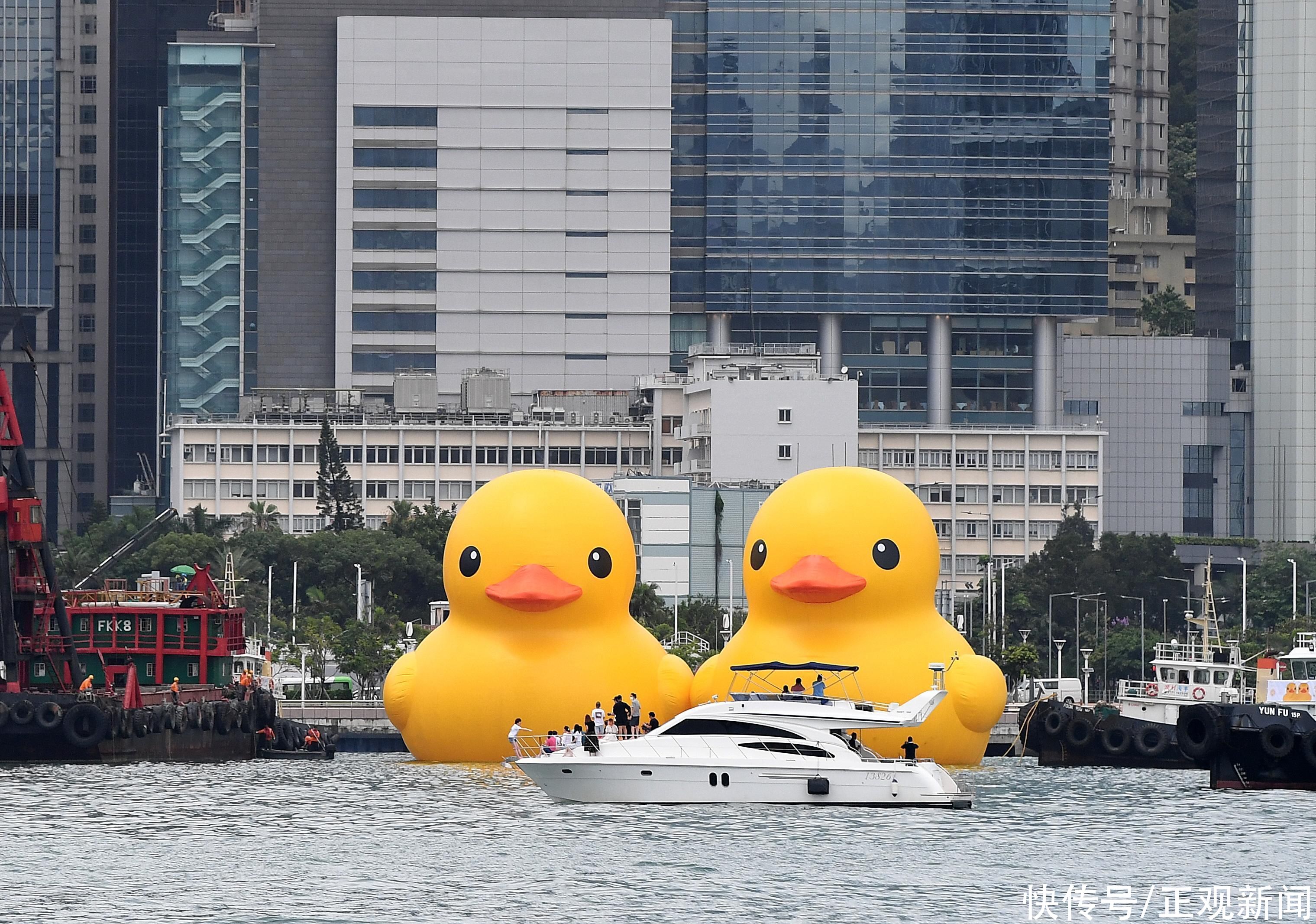 阔别十年 “大黄鸭”再度到港