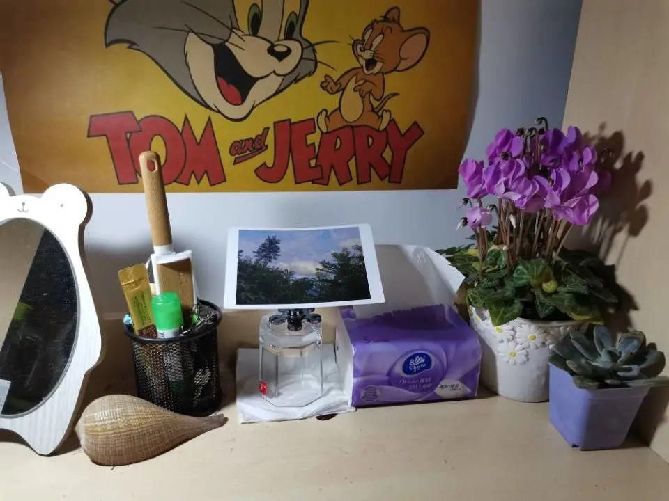 学长共同考|以室友之名