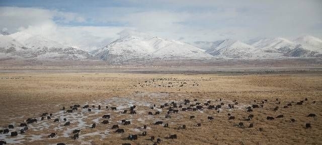 励志|几句励志心灵鸡汤,写在心里,为你一个人
