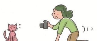  温顺|怎样拍出猫的温顺和可爱感？