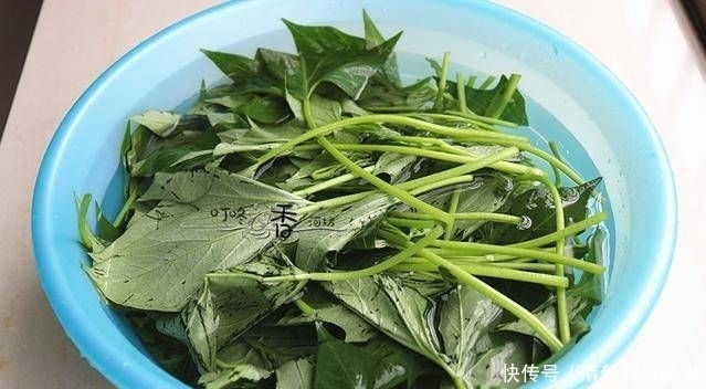 城里|这种叶子在乡下用来喂猪,在城里每斤6元,经常吃它皮肤变得柔软