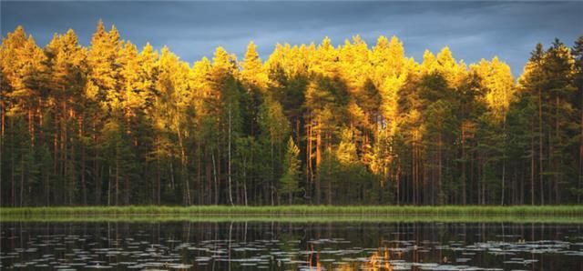 争斗|不喜欢与人争斗的3星座, 宁愿淡泊名利, 也要对人和善