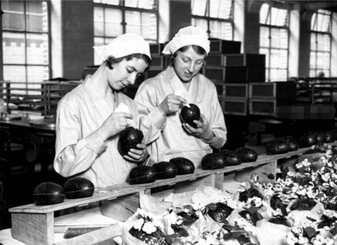 美德|二战美德两国巧克力大比拼,是美食还是黑暗料理,带你一探究竟