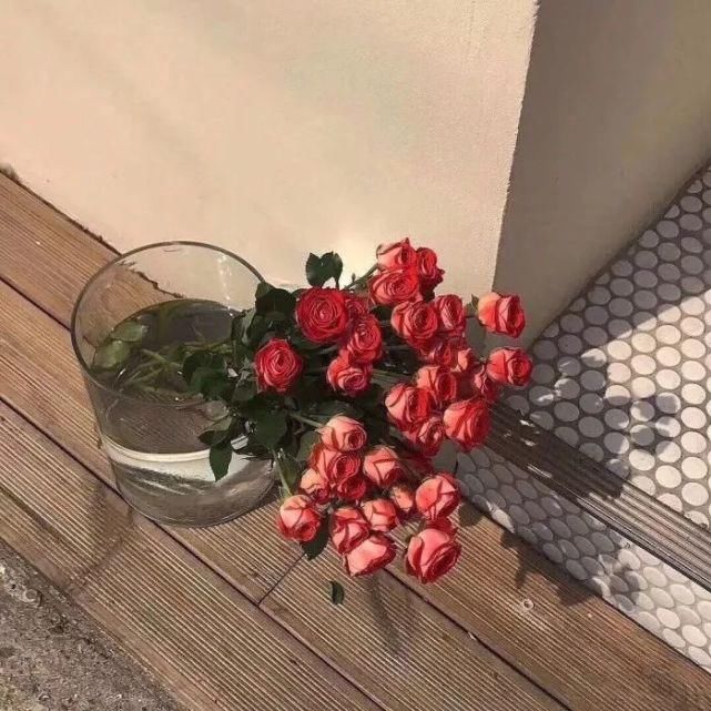  星星|头像Daily | 做回自己的星星，闪耀吧！