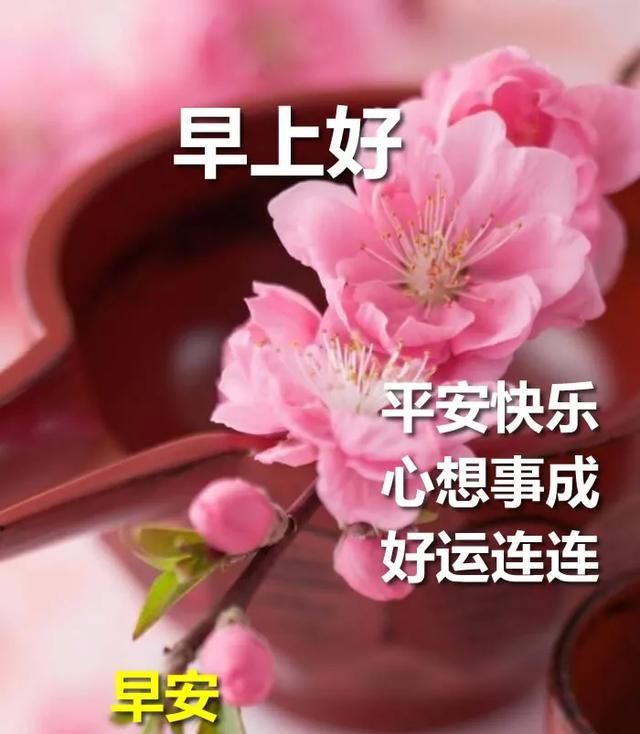 闭上双眼，深深呼吸，吸进今晨的花香，装点今天的心情！|早安| 早安