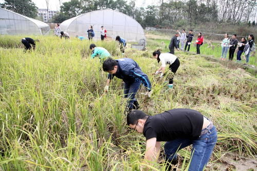  钱能|回忆90年代教师工资：印白条、收勤工俭学，钱能到手就很满足