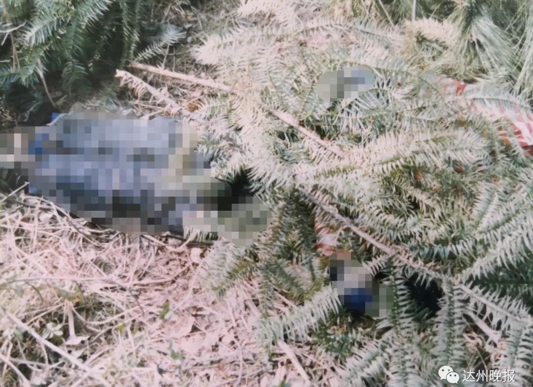 落网|15年前，66岁老妇上山砍柴被杀害，近日凶手落网