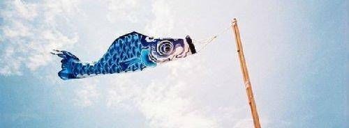 生活|如果每天都像两粒豌豆一样，你会过这种生活吗