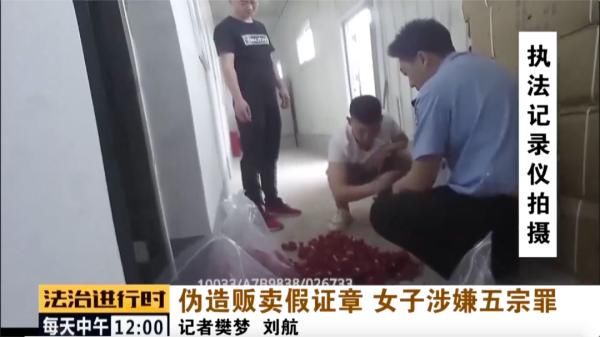 印章|北京：女子疯狂售卖假章假证，被定五项罪名成立