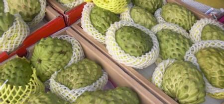  抗衰老|夏天常吃此水果，能美白肌肤、抗衰老，早知早受益