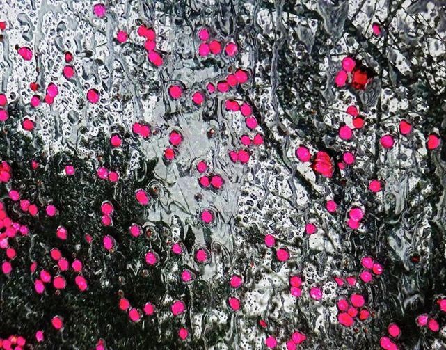  遐想|【视觉影像】津门网陈盈国：《界》遐想摄影展